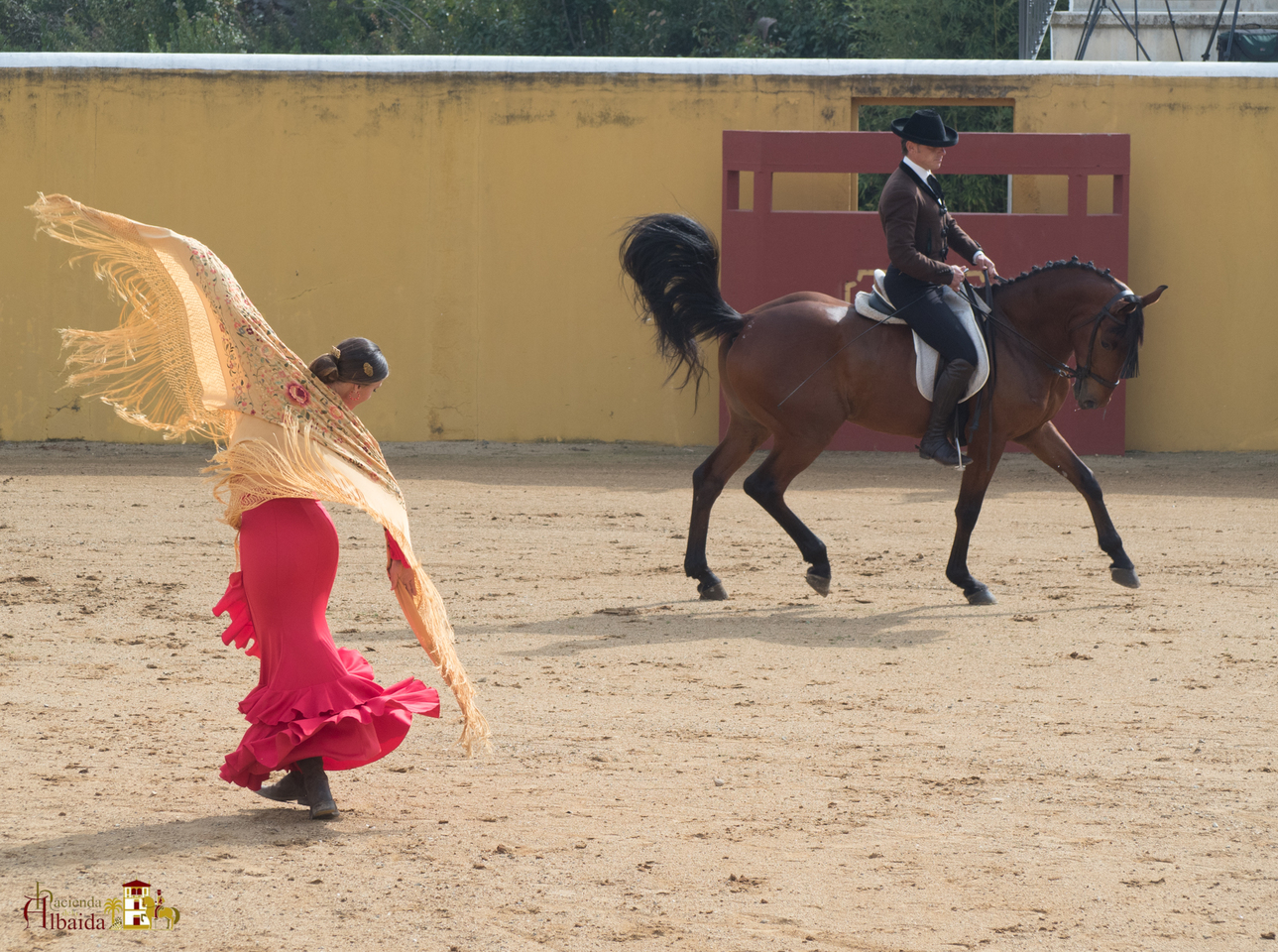 Actividades Lúdicas | Hacienda la Albaida